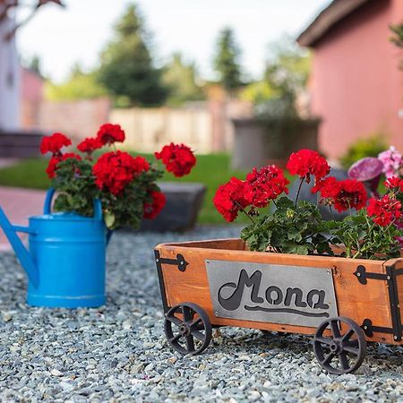 Mona Apartman Sarvar Exterior photo